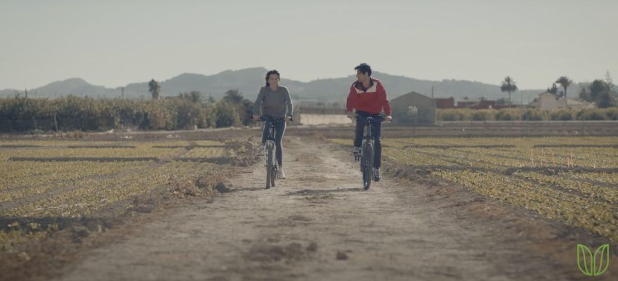 Cinco planes imprescindibles para dar la bienvenida al otoño en la Vega Baja del Segura