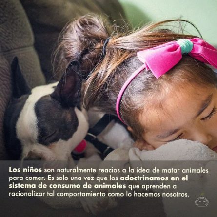 Abandono masivo de caballos en Alzira