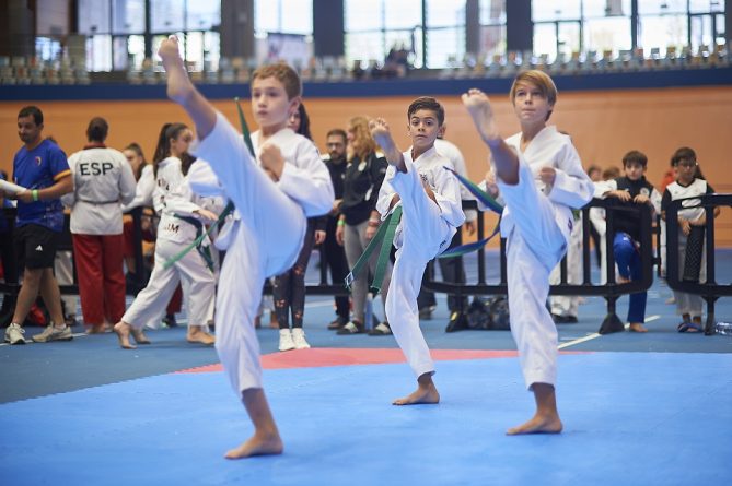 El poomsae y el hapkido ponen el broche de oro El poomsae y el hapkido ponen el broche de oro