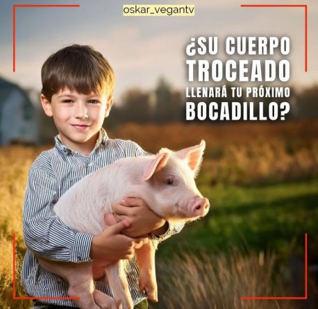 la realidad de la industria porcina la realidad de la industria porcina