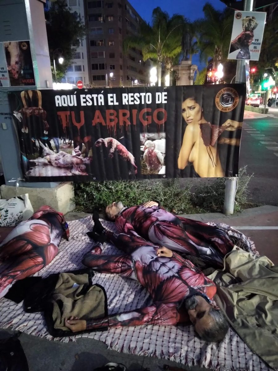 ð« No al uso de pieles en la moda: Performance por un futuro sin crueldad