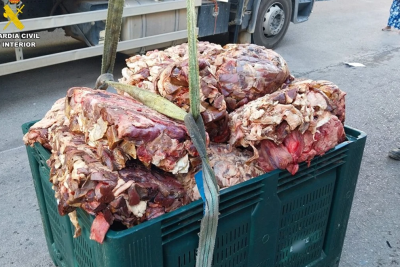 Carne en mal estado: 40 toneladas incautadas en San Vicente y San Isidro