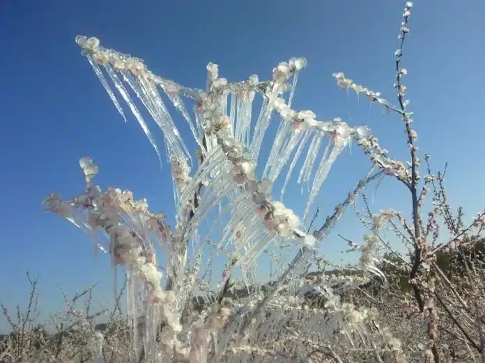 🧊 Alicante Comienza la Semana con Heladas y Descenso de Temperaturas