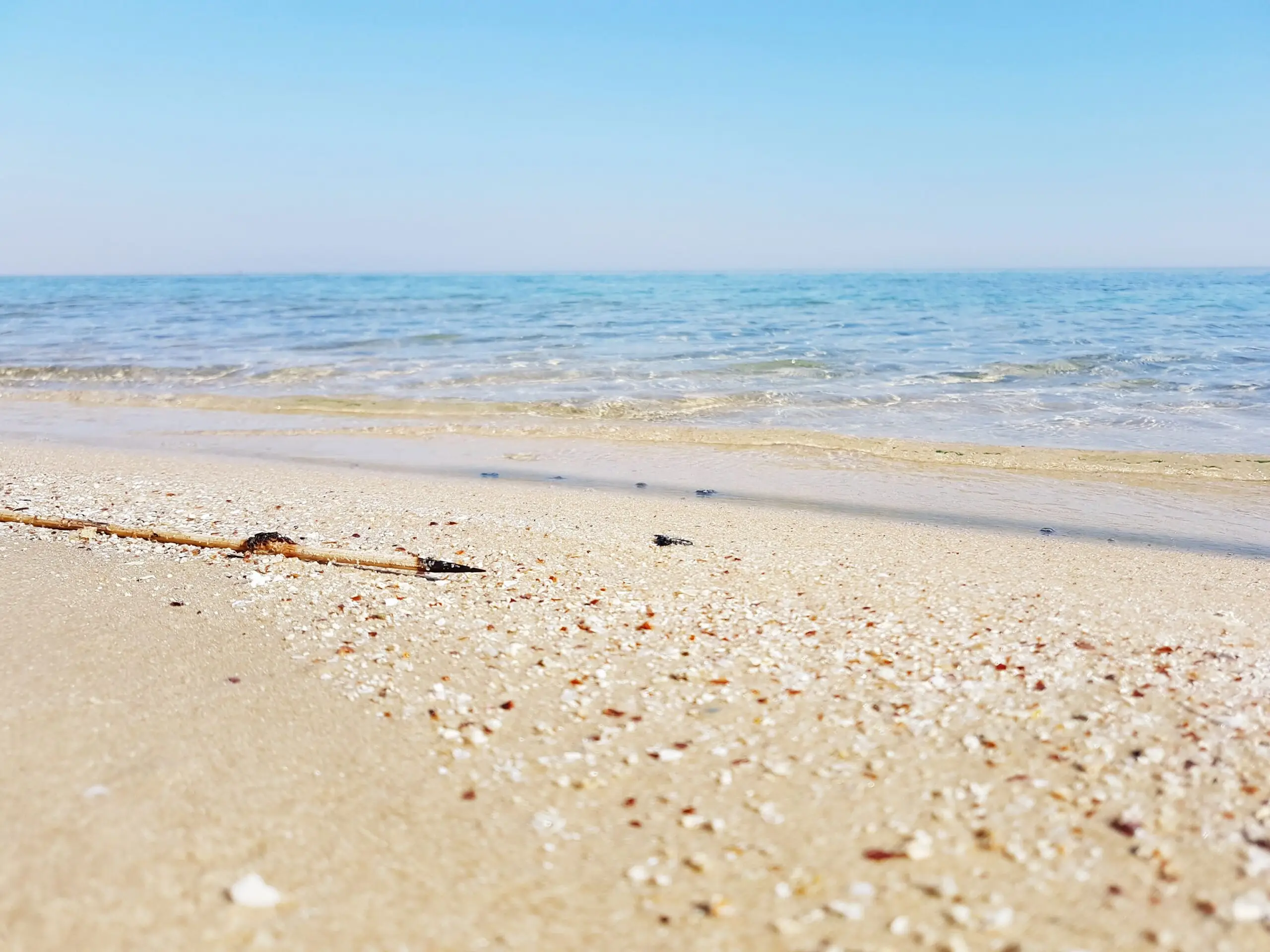 🏖️ ¿Cuánto cuesta realmente mudarse a Alicante? Todos los detalles aquí