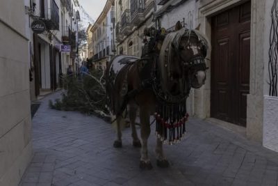 Dénia Animal Save documenta el uso de caballos como entretenimiento en Benissa