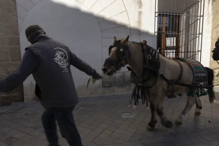 Dénia Animal Save documenta el uso de caballos