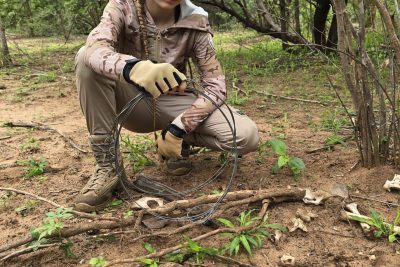 Elvia la rastreadora, empatía con los animales y la naturaleza