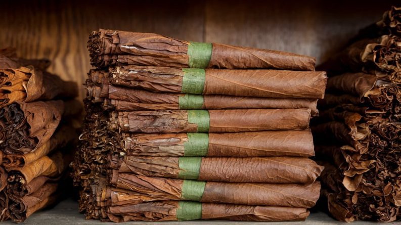 Tabaco rubio para entubar: la elección perfecta al mejor precio