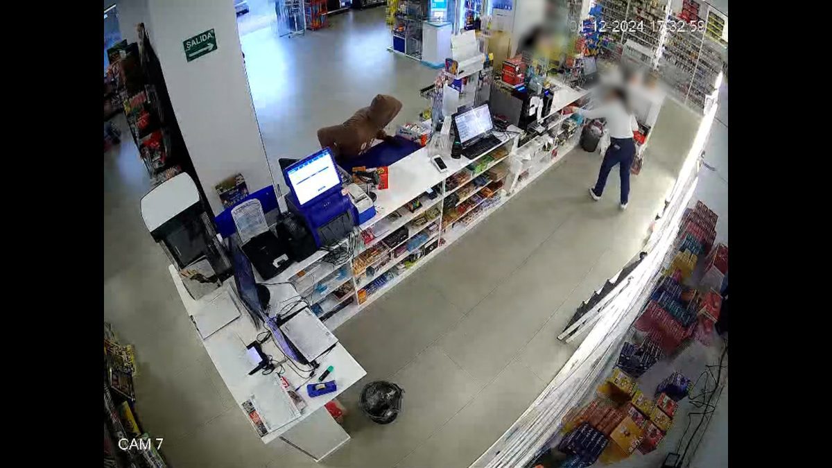 Detenido en Almería un individuo que cometió dos robos empleando un cuchillo de grandes dimensiones