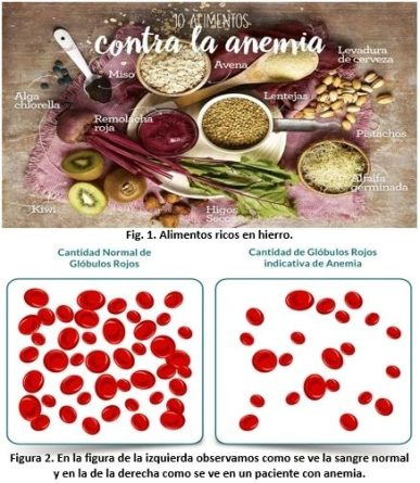 Menstruación y anemia ferropénica: ¿cómo la alimentación puede ayudarte a prevenirla o paliarla?