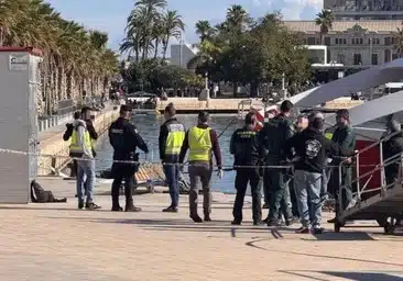 Hallan el cuerpo sin vida de una mujer en el puerto de Alicante: investigan las causas