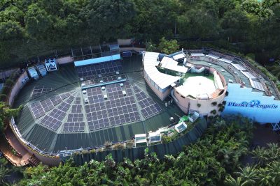 Loro Parque y Siam Park celebran la obtención de la certificación Biosphere Sustainable