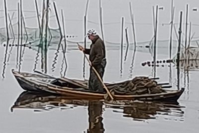 Tienes un proyecto: quiere ser autónomo