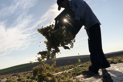 Robles Pedro Ximénez 1927 entre los Mejores Vinos y Espirituosos de España 2024