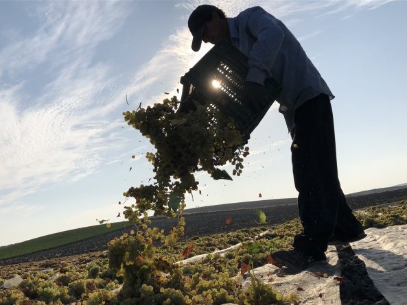 Robles Pedro Ximénez 1927 entre los Mejores Vinos y Espirituosos de España 2024
