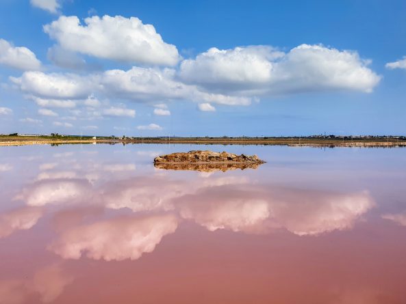 La Laguna Rosa de Torrevieja La Laguna Rosa de Torrevieja