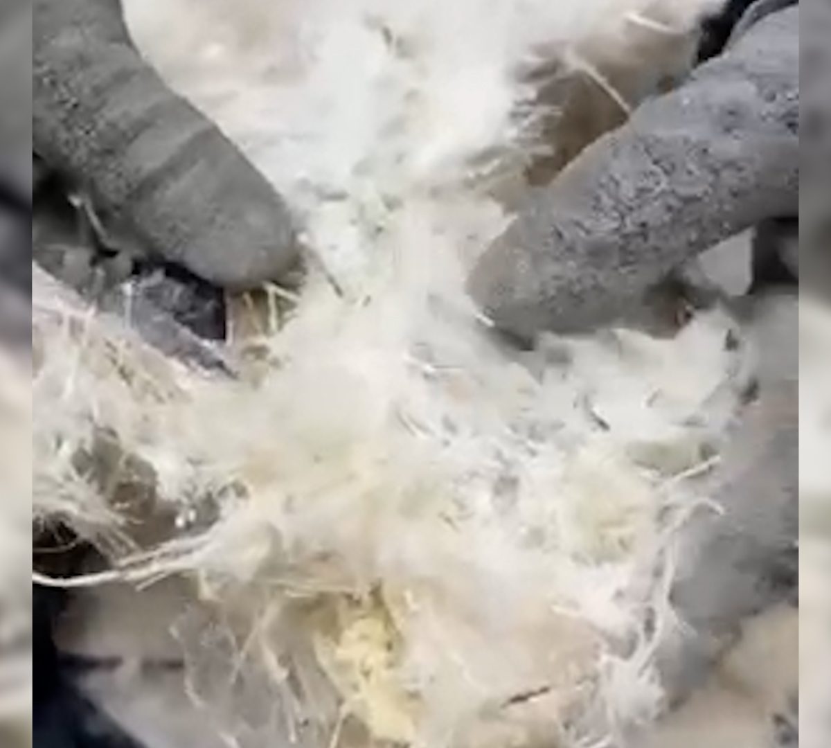 Interceptados 26 kg de cocaína camuflados en sillas de montar