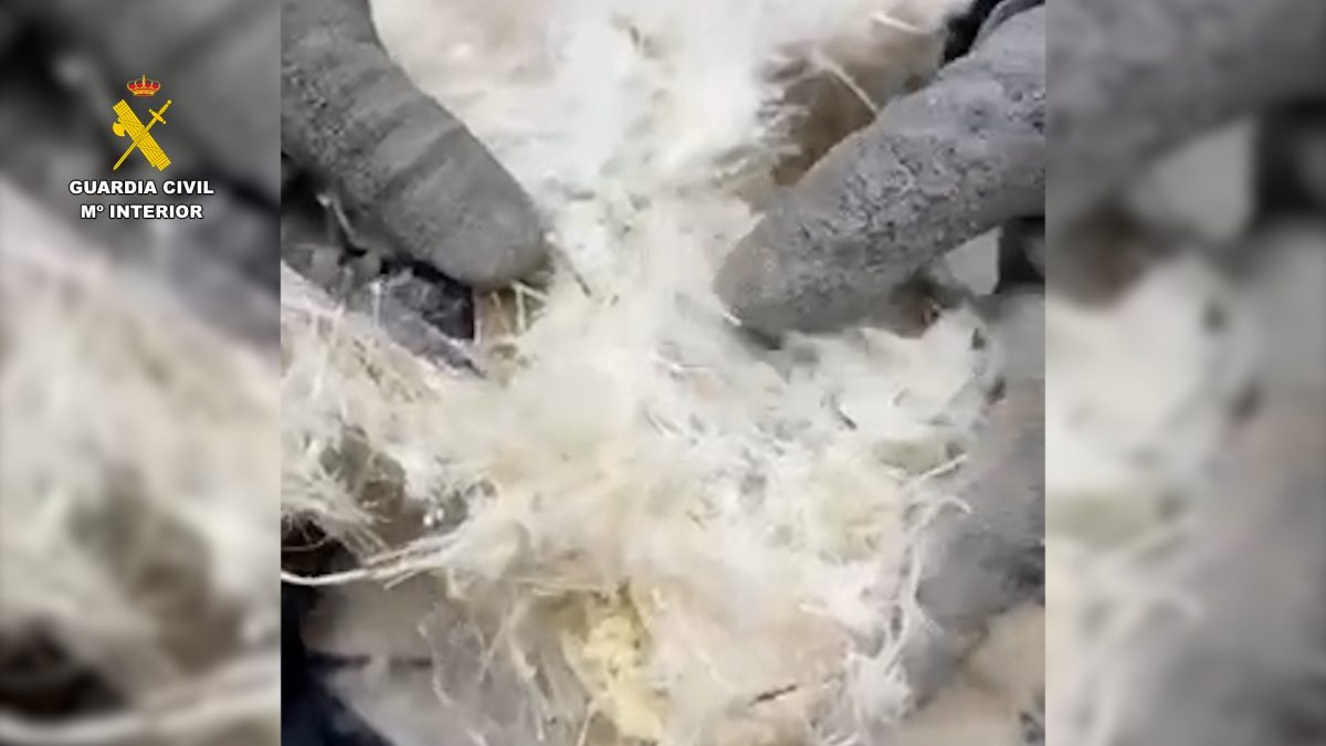 Interceptados 26 kg de cocaína camuflados en sillas de montar