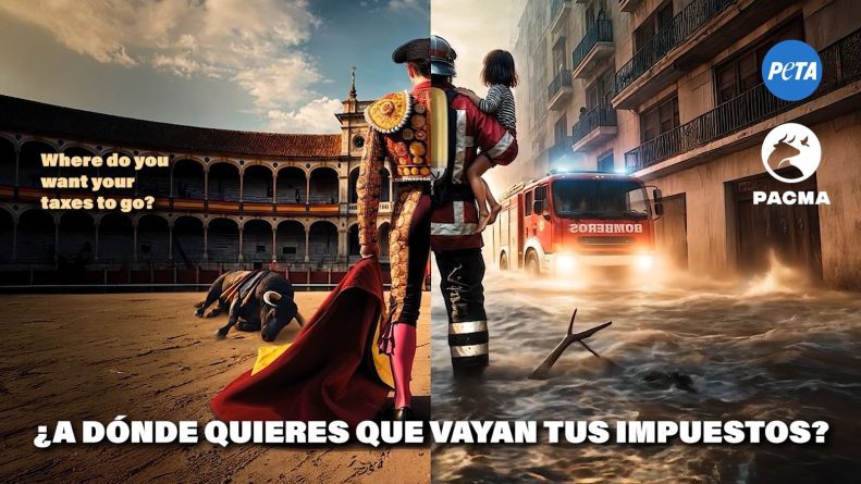 PETA y PACMA llevan la protesta antitaurina a las Fallas de Valencia