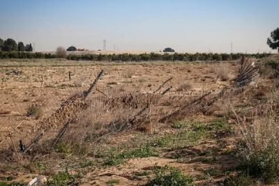 Un refugio de animales en Torrent