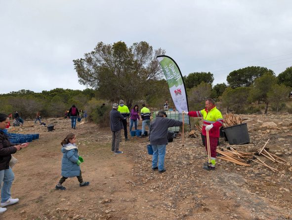 Monte Orgegia florece 1.700 voluntarios siembran vida y esperanza en Alicante