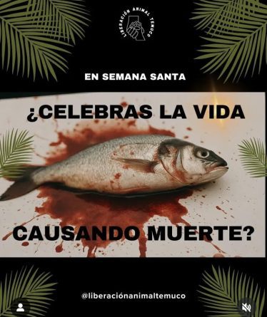 La hipocresía de no comer carne en semana Santa por motivos religiosos