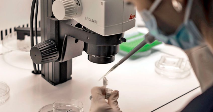 Un nuevo test genético permite conocer si las alteraciones cromosómicas de un embrión provienen del padre o de la madre