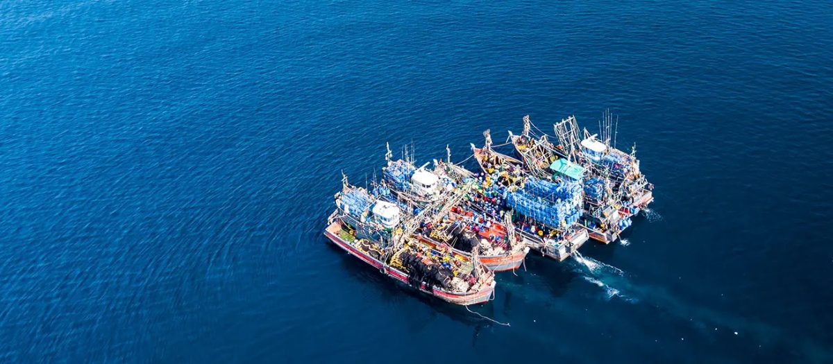 Panamá apunta a los propietarios «invisibles» en la lucha contra la pesca ilegal