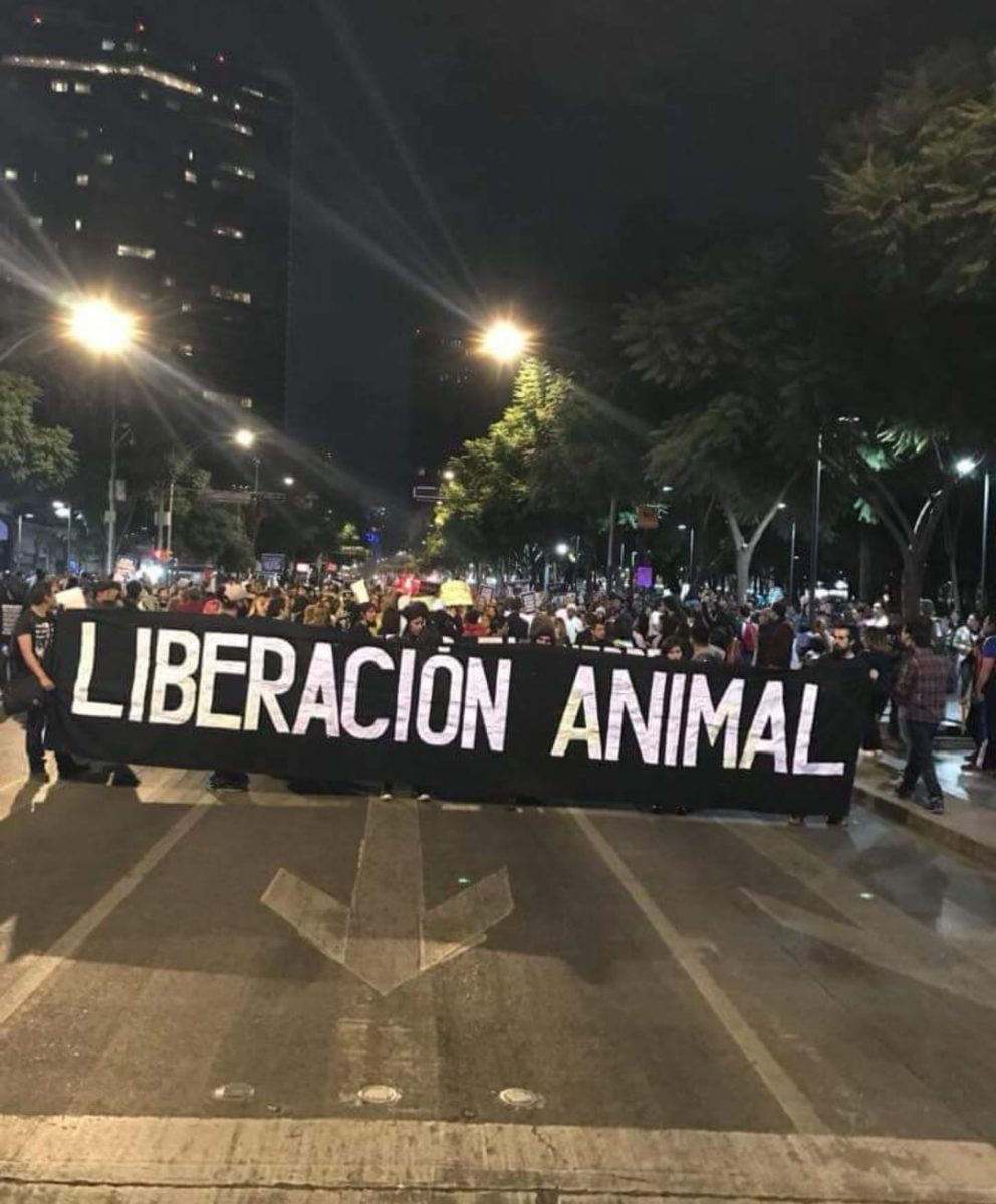Si sigues comiendo animales te acabaré odiando», campaña de los veganos para persuadir a sus familias