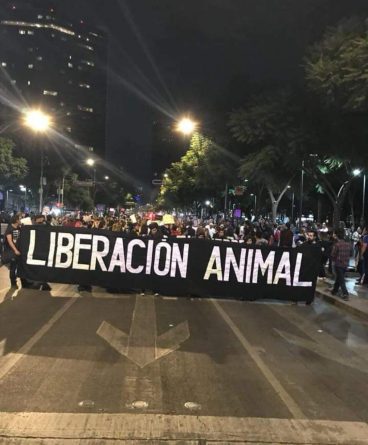 Si sigues comiendo animales te acabaré odiando», campaña de los veganos para persuadir a sus familias