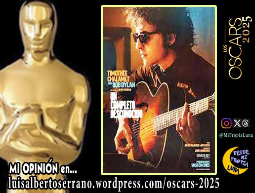 Crítica Películas Nominadas al Óscar: UN COMPLETO DESCONOCIDO