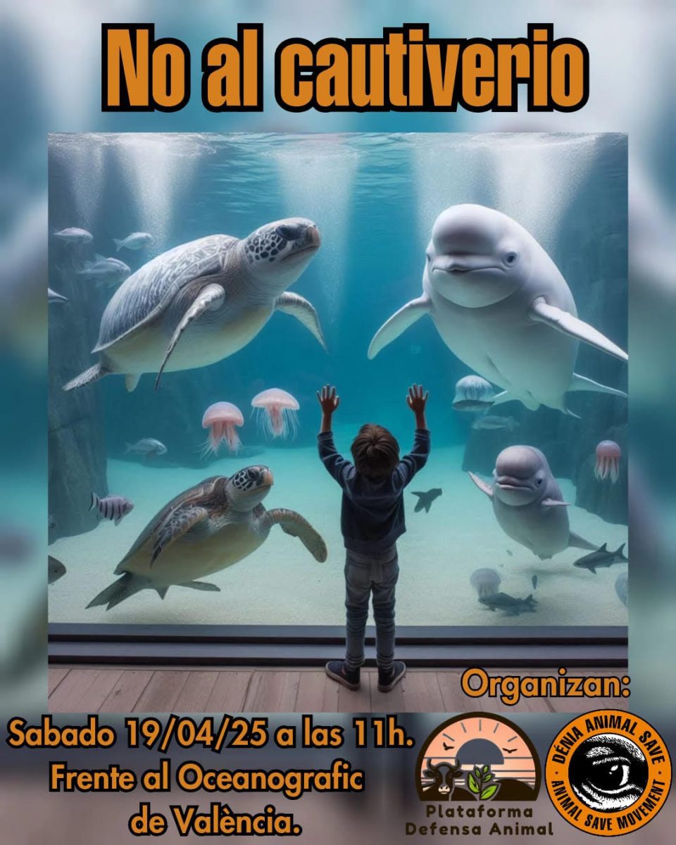 no comer carne en semana Santa