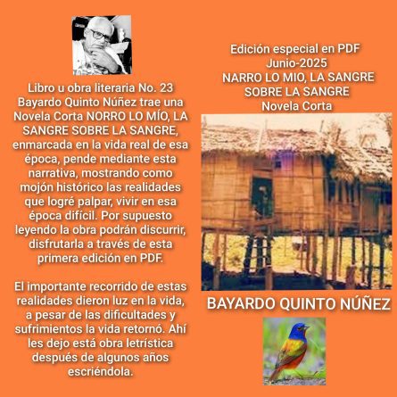 Bitácora de futuro Novela Corta Narro lo mío, la sangre sobre la sangre