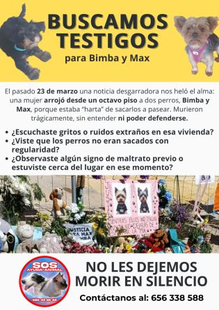 La justicia admite una querella por el caso de Bimba y Max, los perros arrojados desde un octavo piso en San Juan
