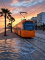 TRAM de Alicante amplía su servicio 24h durante las Hogueras de San Juan