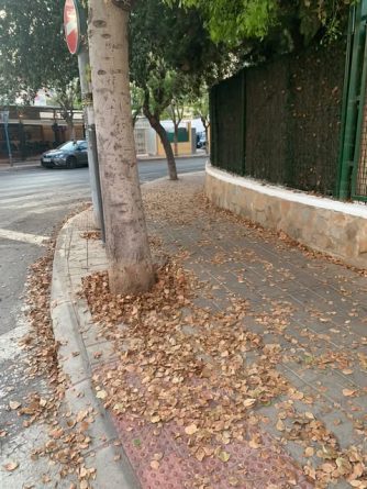 Vecinos denuncian la dejadez en la limpieza de la Avenida de Holanda