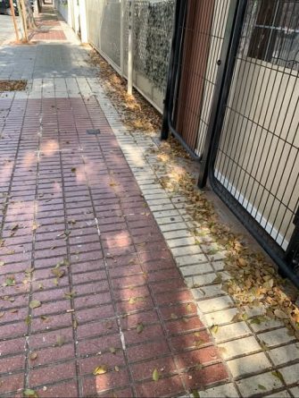 Vecinos denuncian la dejadez en la limpieza de la Avenida de Holanda