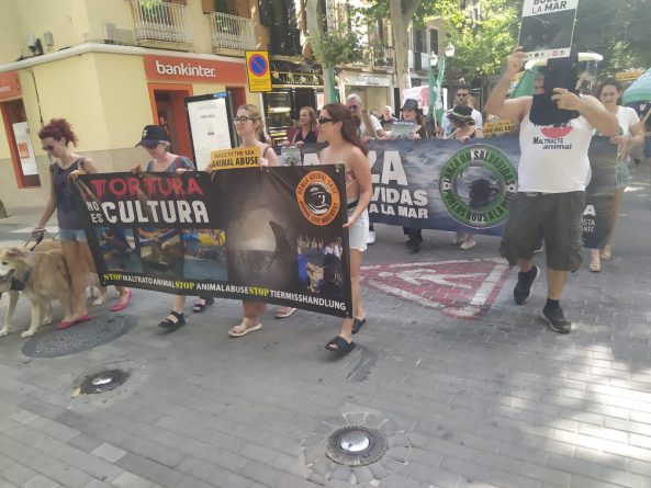 Activistas protestan en Dénia por la abolición de los «Bous a la mar»