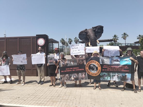 Acto informativo a las puertas de una cárcel llamada Bioparc