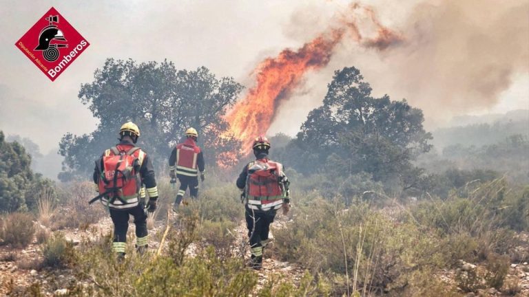 Cuatro Incendios Forestales en Cuatro Días: Alicante en Alerta Máxima por Riesgo Extremo