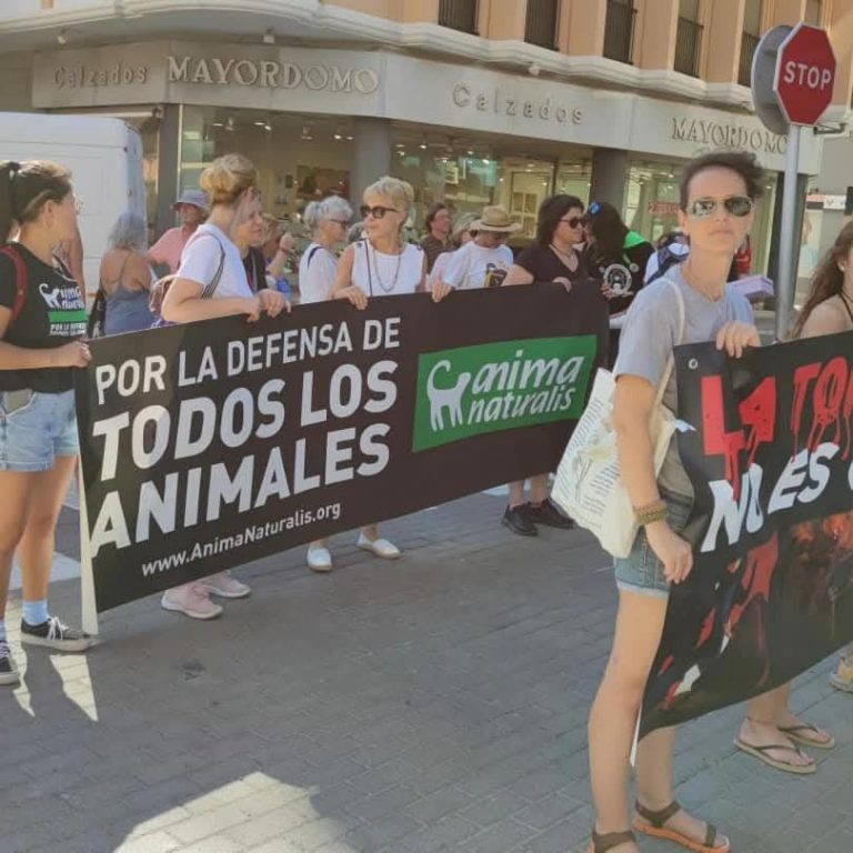 Denia acoge una nueva marcha contra los Bous a la Mar el próximo 6 de julio