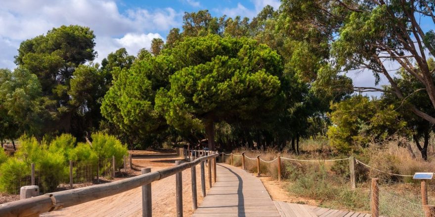 Parque Natural de las Lagunas de la Mata y Torrevieja