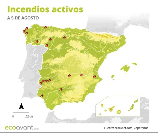 El fuego no entiende de fronteras: la urgencia de un mando único nacional