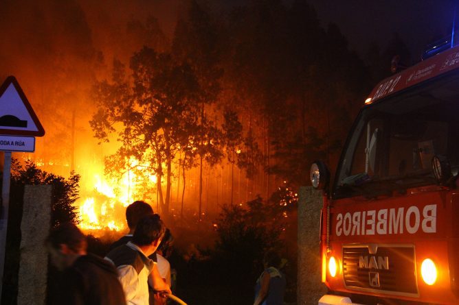 Ecopostureo Supremacista y la Ley del Doble Silencio: Siempre faltan los otros animales y la industria más devastadora