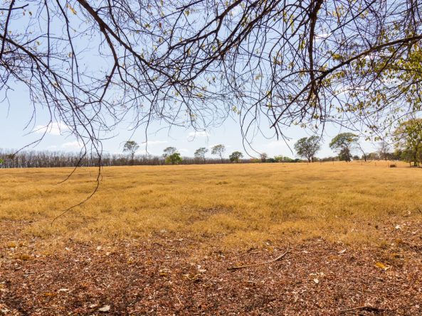 Vecino muere atropellado en Alicante tras una disputa por los límites de una finca