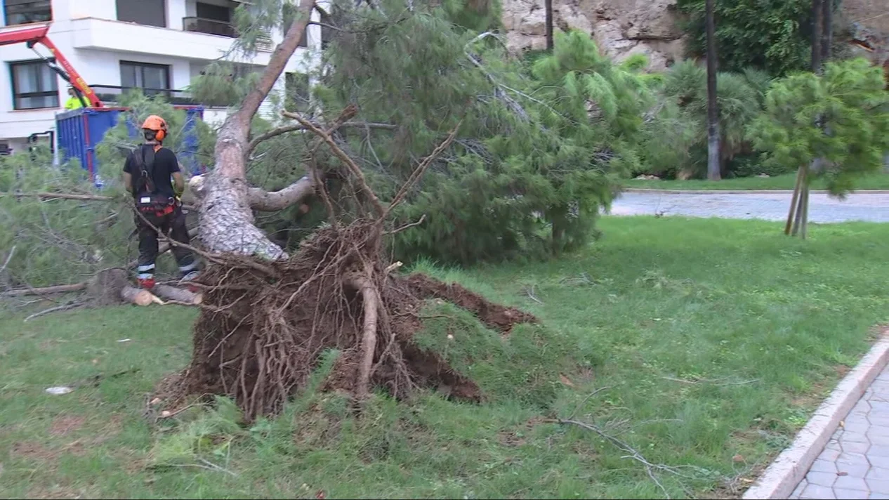 Alicante activa protocolos por un reventón térmico: clases suspendidas, carreteras cortadas y daños en instalaciones
