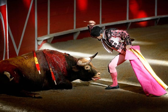 El PSOE permite que sigamos en la edad de piedra encubriendo al oscuro mundo taurino