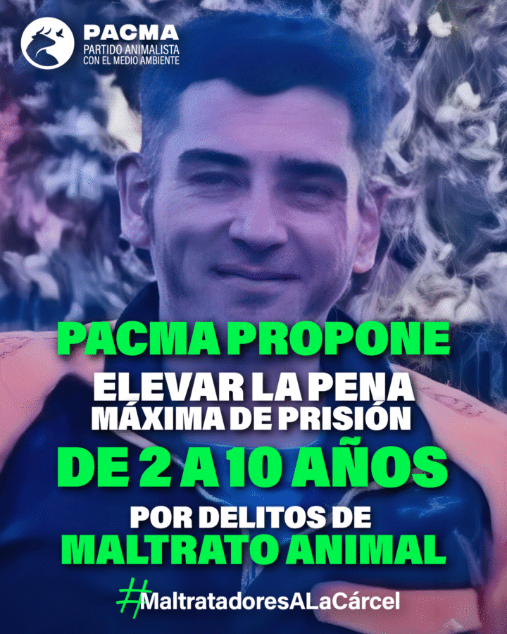PACMA exige al Gobierno del PSOE y SUMAR penas de hasta 10 años para los delitos de maltrato animal