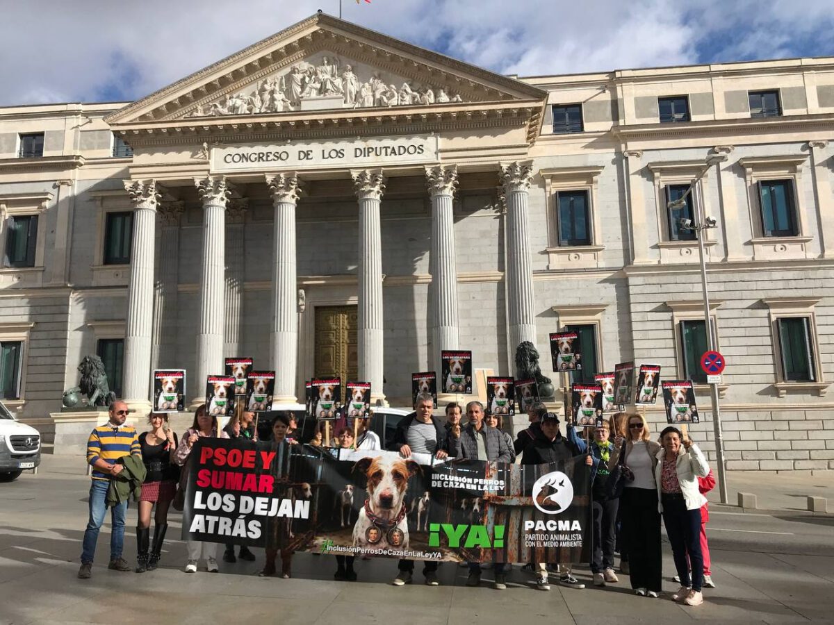 PACMA presenta la campaña “PSOE y Sumar los dejan atrás” para exigir la inclusión de los perros de caza en la Ley de Protección Animal