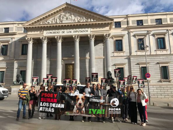 PACMA presenta la campaña “PSOE y Sumar los dejan atrás” para exigir la inclusión de los perros de caza en la Ley de Protección Animal